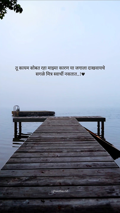 Friendship marathi status | mitr vanvya made garvyasarkha | #friendshipstatus #shorts #short