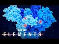 Understanding COVID-19 Mutations