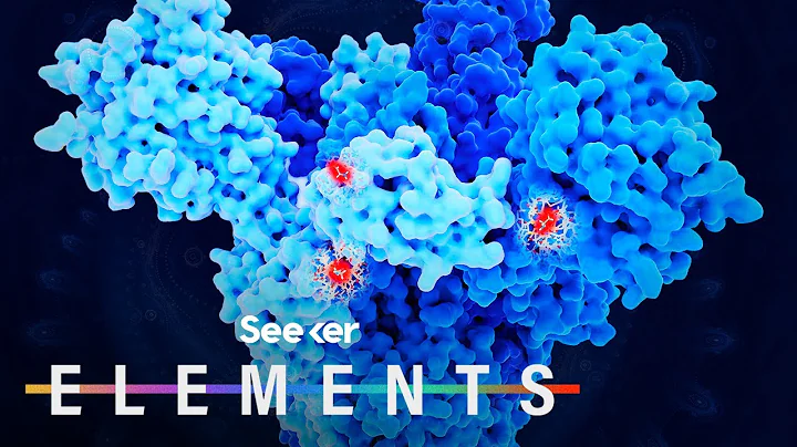 If the Coronavirus is Mutating, What Does That Mean For Us?