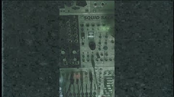 Load the squid salmple up with jungle breaks and modulate with voltage block !