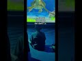 Turtle Talk With Crush | This is a First