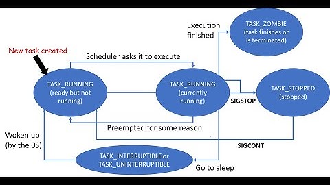 Operating Systems (Smruti R. Sarangi): Process States in Linux (Chap 3, Part I)