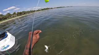 Fishing in Tampa bay almost went wrong