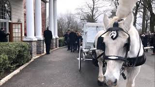 White Horse  and Hearse Carriage Brenna Funeral Home to Greenwood Cemetery Hamilton NJ January 2 202