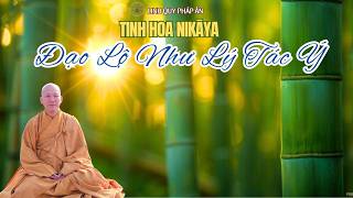 Tinh Hoa NIKAYA - Đạo Lộ Như Lý Tác Ý