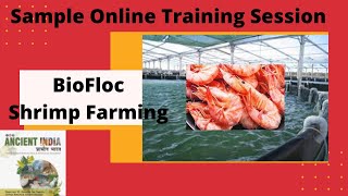 Sample Paid Online Training Session For Shrimp BioFloc Culture in Fresh Water (Hindi & English) - 1