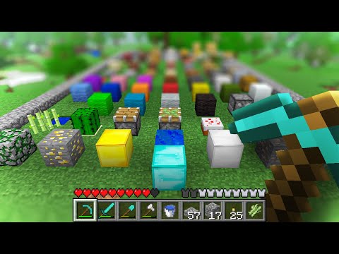 I Collected Every Block in Beta Minecraft