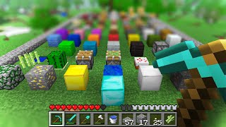 I Collected Every Block in Beta Minecraft screenshot 3