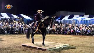 Concurso del caballo bailador expo Luvianos 2015 Parte. 2