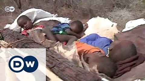 Info-film: Is Climate Change a Security Risk? | Global 3000