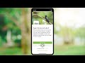 Merlin Bird ID Quiz