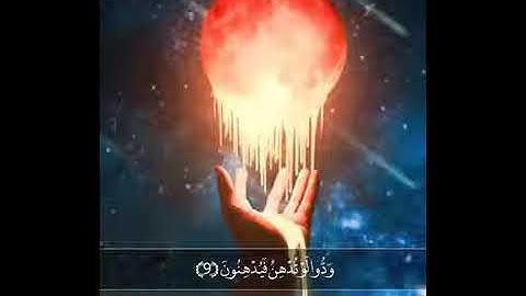 ارح سمعك تلاوة عطرة😴 بصوت سالم الرويلي ❣اجمل حالات واتس اب قران كريم 💙حالات واتس اب دينية