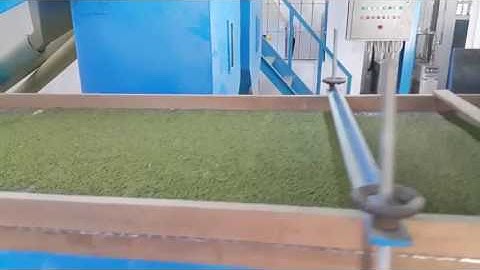 ISORT Color Sorter - Moong Dal Sorting Video