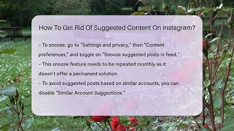 How To Get Rid Of Suggested Content On Instagram? - Everyday-Networking