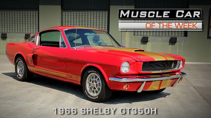1966 Shelby GT350H Muscle Car Of The Week Video Ep...