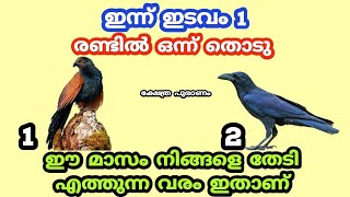 ഒരു ആവശ്യം പറഞ്ഞ് തുറക്കു നിങ്ങൾ ചോദിക്കുന്നത് നടക്കുമോ ഇല്ലയോ എന്ന് അറിയാം. jyothisham Malayalam...