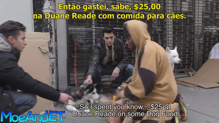 Dois Cães Abandonados Na Rua (Experimento Social)