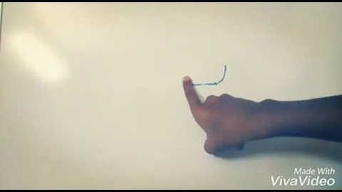 Animation on save trees (stop motion)