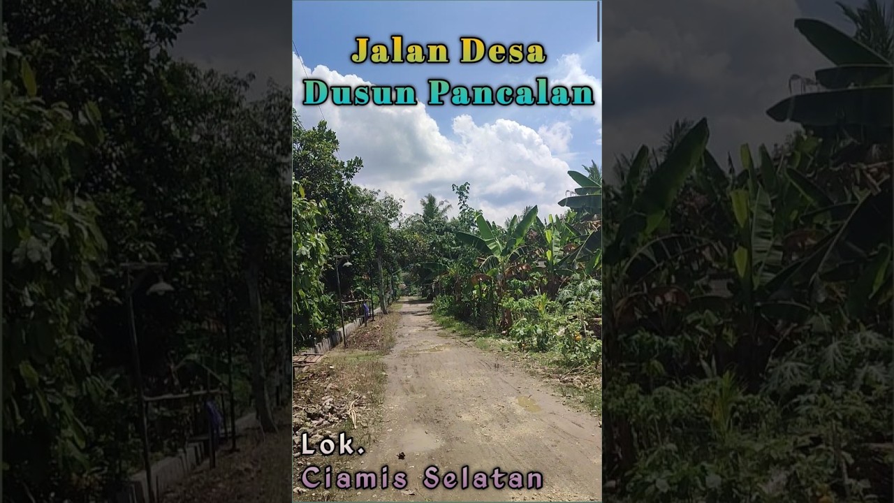 JALAN PERBATASAN CIAMIS PANGANDARAN, DUSUN PANCALAN .........!!! COMEN YANG BIJAK  @tvgaluh