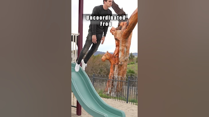 How different animals go down a slide. 😂 Part 1