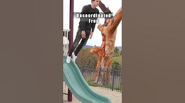 How different animals go down a slide. 😂 Part 1