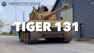 Tiger 131 On The Move - Ready For Tiger Day 11