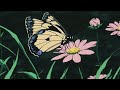 Moments Olexandr Ignatov 15 Minute Version 