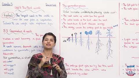 Class 5 - Science - Unit 03 - Lecture 5 The plant world Topic 3.3 - Allied Schools