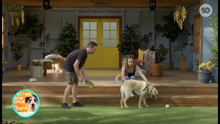 Casting Now Open | The Dog House Australia - Season 4 Episode 2