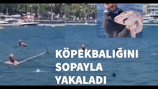 Köpekbalığına Süpürgeyle Saldırdılar