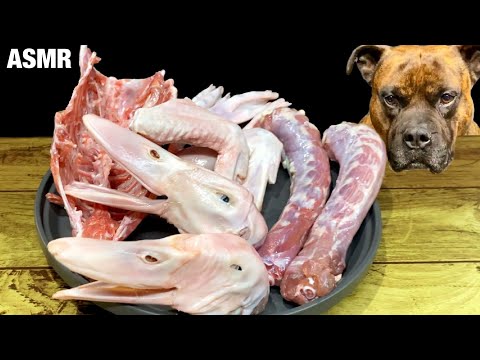 【大食い犬ASMR】アヒルの肉や骨を食べまくる愛犬 MUKBANG Dog eats raw meat bones