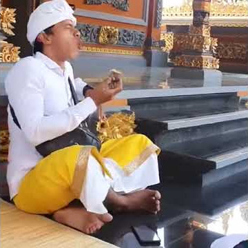 Story wa lucu orang bali makan ubi sambil ngeraf😂😂😂