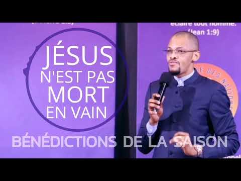 Vidéo: Ne serait-il pas mort en vain ?