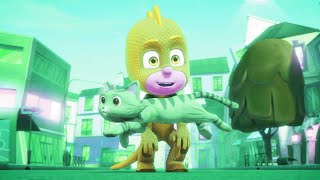 Owlette of a Kind |  Full Episodes | PJ Masks | Cartoons for Kids | Animation for Kids