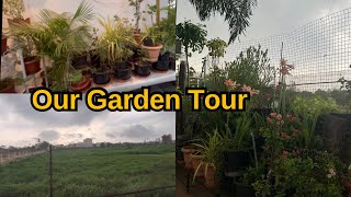 Budget Garden tour | మా ఇంటి Garden ముచ్చట్లు | peacock and garden in rain | Garden tour vlog & tips