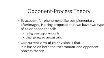 Sensation and Perception Part 2