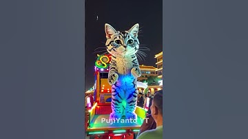 kucing imut takbir keliling idul adha  #takbiran #idulftri #takbiranterbaru #cat #kucing