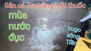 CÂU CÁ TRA SÔNG - CHINH PHỤC HUGO SÔNG TIỀN MÙA NƯỚC ĐỤC BẰNG MỒI THUỐC -  VIDEO 298