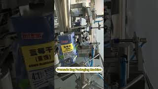 Premade Bag Packaging Machine