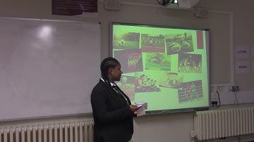 First Pitch - unit 21