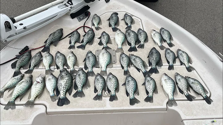 Hammering SHALLOW SLAB CRAPPIE With @hookedupfishinghardhitta