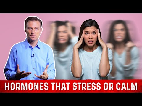 هورمون های استرس و ضد استرس (کورتیزول و سروتونین) توسط دکتر برگ توضیح داده شده است.