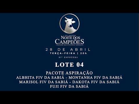 LOTE 04   PACOTE ASPIRAÇÃO