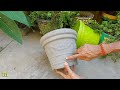 How to make beautiful cement pot | घर पर आसानी से कैसे बनाएं | Simple &amp; Easy DIY Flower Pot