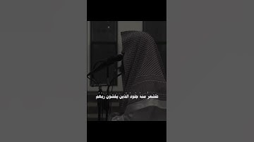 #القارئ #اكسبلور #المصحف #دويتو #الرحمن #لايك #القزابري #ترند #يصلك #تيك_توك