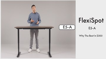 FlexiSpot E5-A: Why The Best Standing Desk In $300