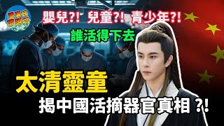 Download Lagu 太上老君的靈童追蹤中國失蹤人口黑幕，活摘器官真相揭露。 MP3