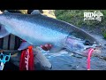 Oregon Coast STEELHEAD Fishing MISSION! (Adx Go South Ep. #2)