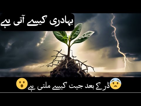 بہادری کیسے آتی ہے cartoon animation story 