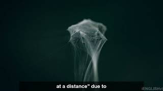 The Mysteries of Quantum Entanglement